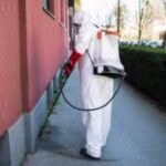 sanificazione aree esterne